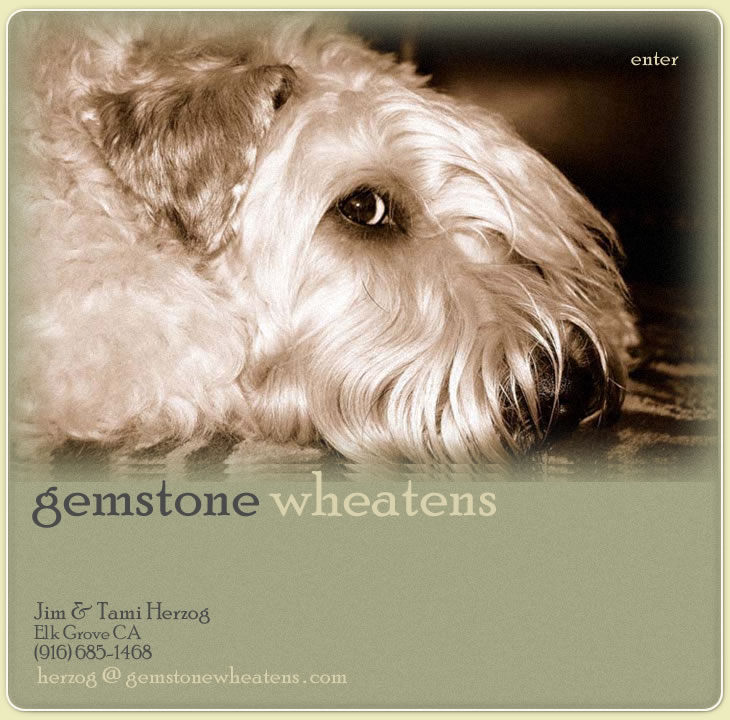Gemstone Wheatens